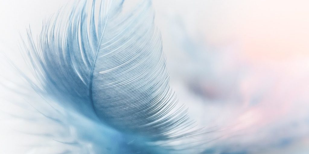 feather-3010848_1280